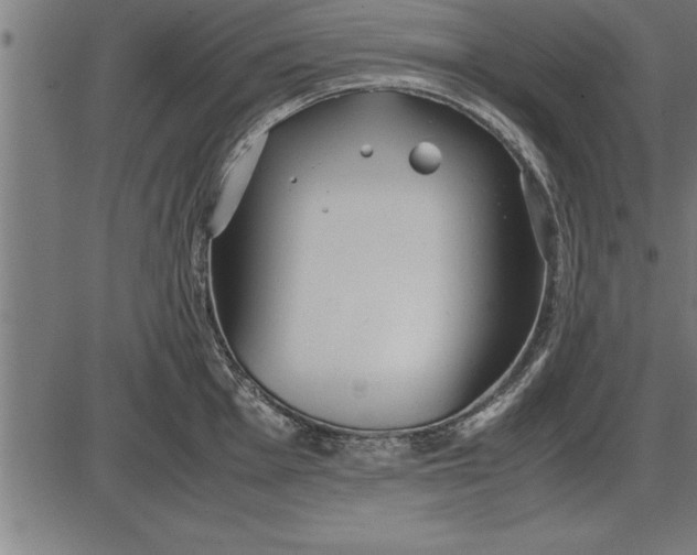 X0000086091001200704091322