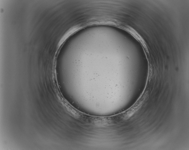 X0000086091002200704091322