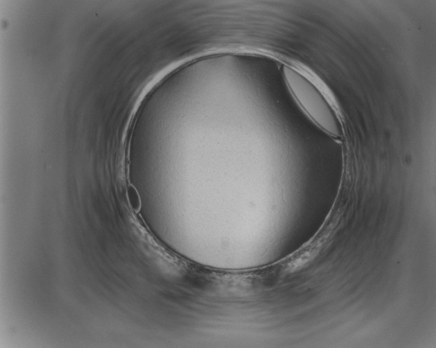 X0000086091004200704091322