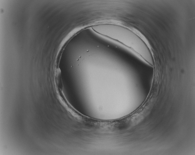 X0000086091005200704091322