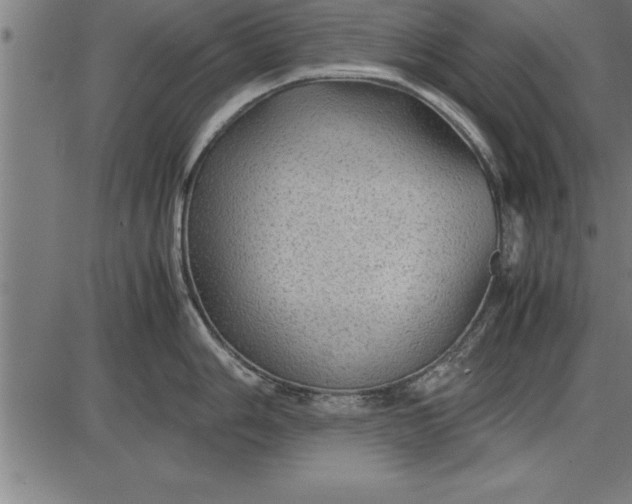 X0000086091006200704091322