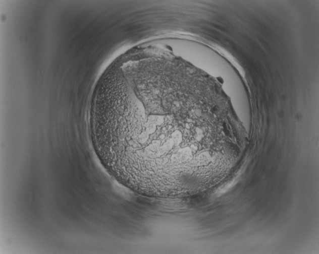 X0000086091007200704091322