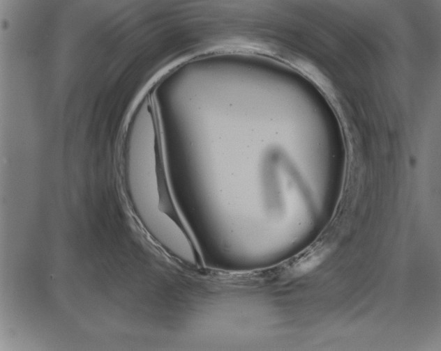 X0000086091008200704091322