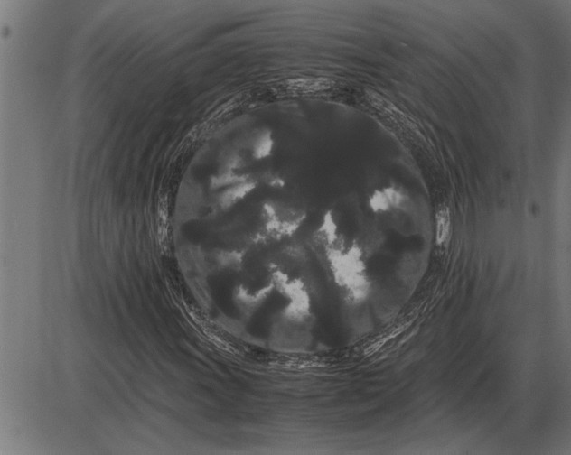 X0000086091011200704091321