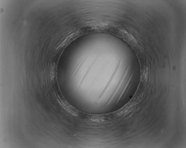 X0000086091012200704091321