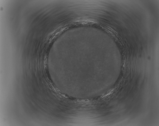 X0000086091014200704091321