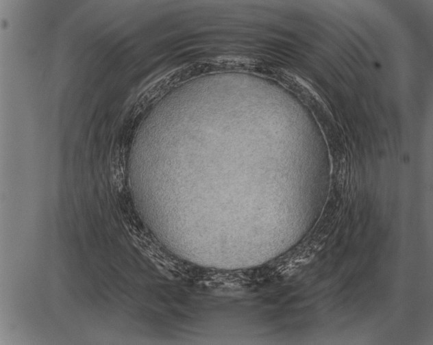 X0000086091015200704091321