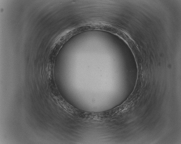 X0000086091016200704091321