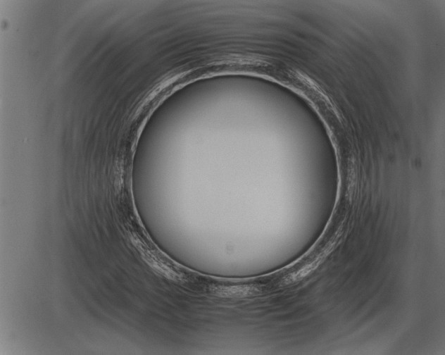 X0000086091017200704091321