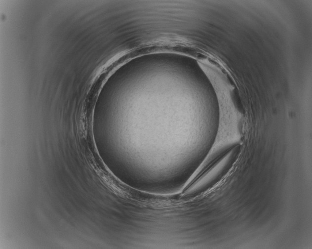 X0000086091018200704091321