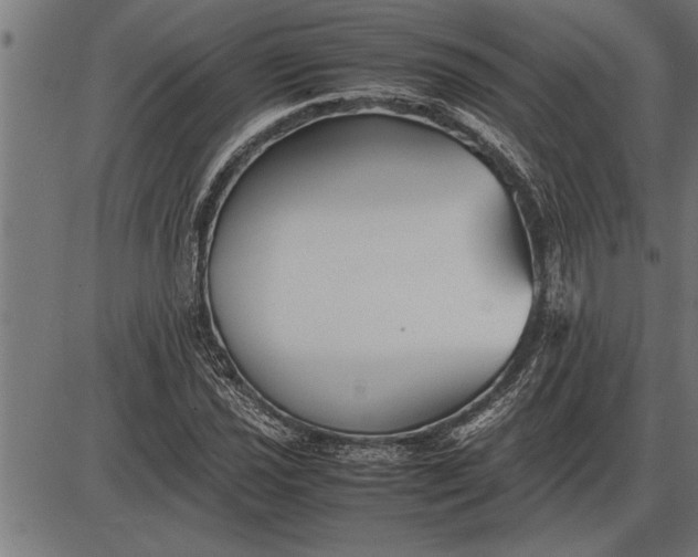 X0000086091021200704091321