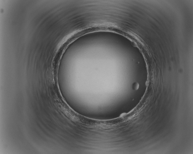 X0000086091022200704091321