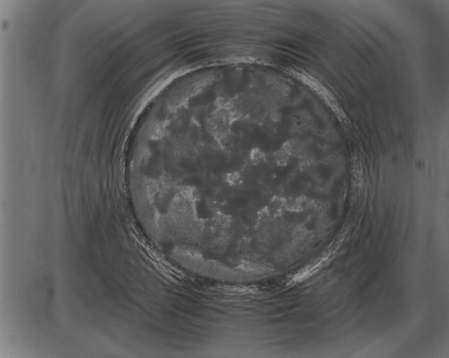 X0000086091023200704091321