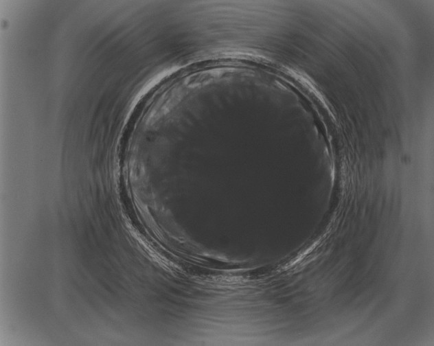 X0000086091024200704091321