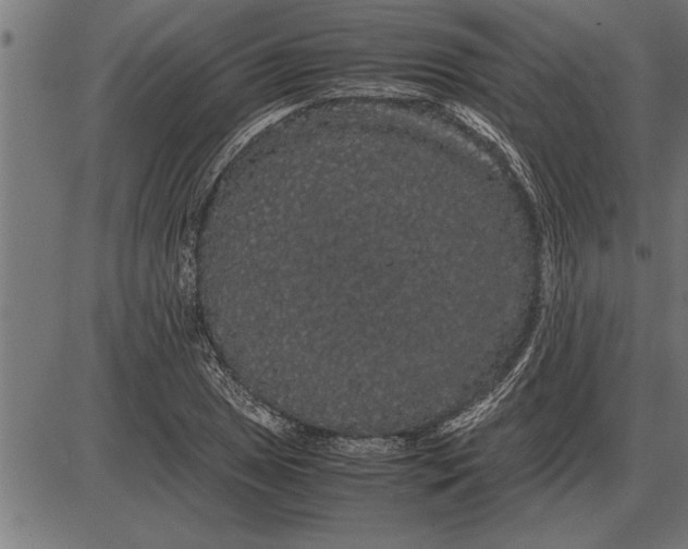 X0000086091025200704091321