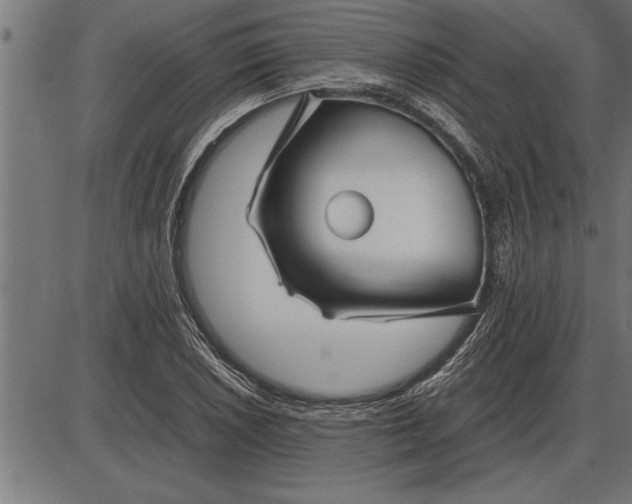 X0000086091026200704091321