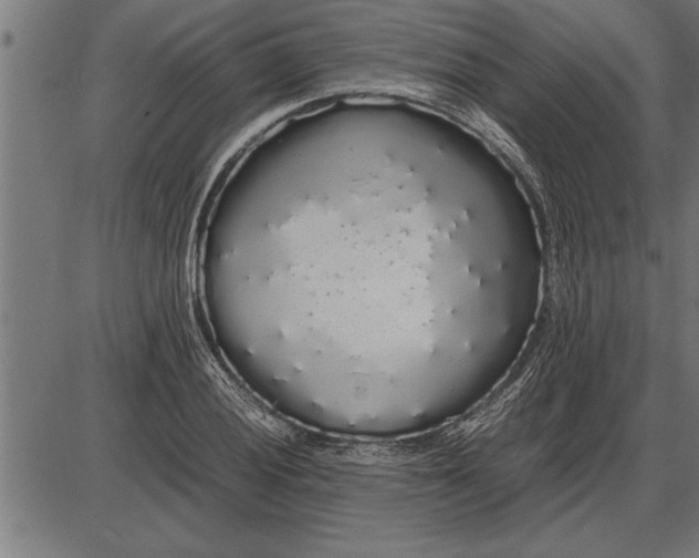 X0000086091028200704091321