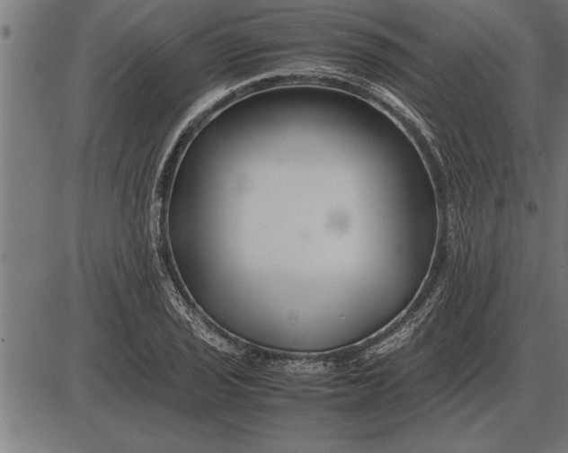 X0000086091029200704091321