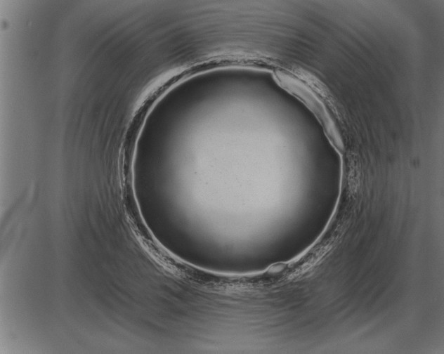 X0000086091030200704091321