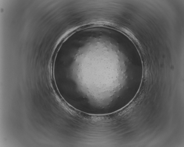 X0000086091032200704091321