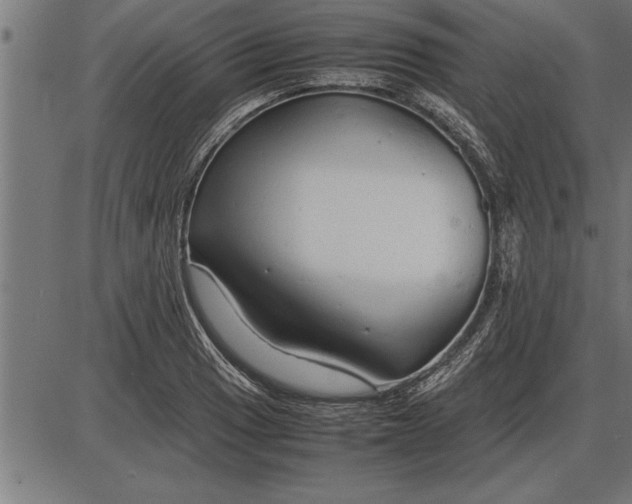 X0000086091033200704091321