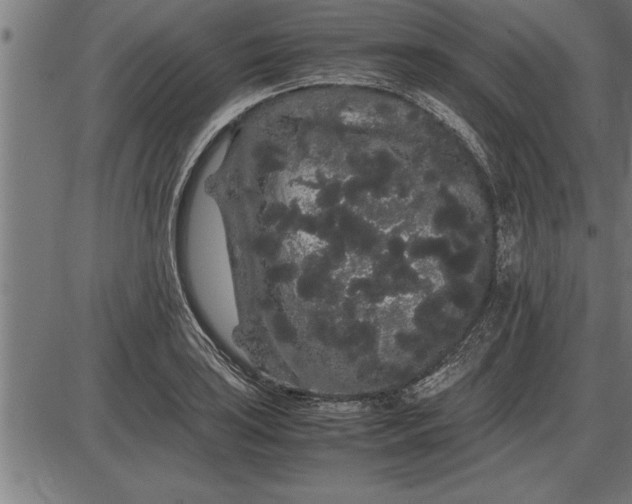 X0000086091035200704091321