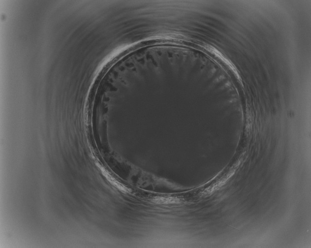 X0000086091037200704091321