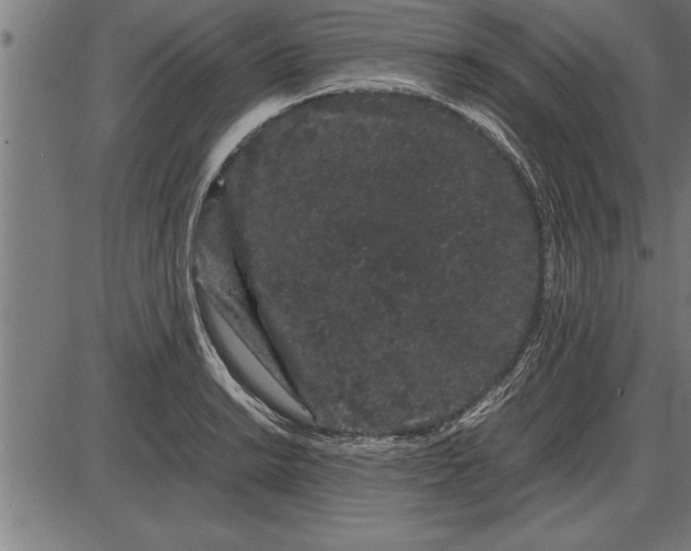 X0000086091038200704091321