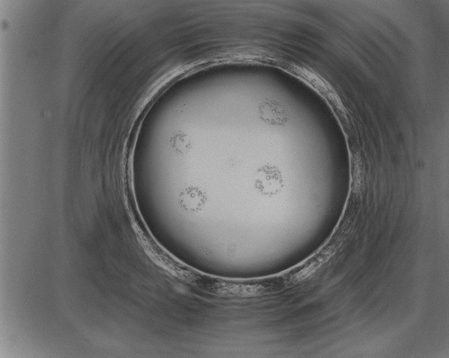 X0000086091039200704091321