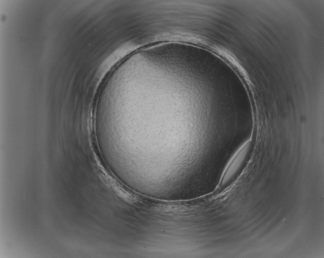 X0000086091040200704091321