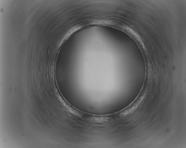 X0000086091041200704091321