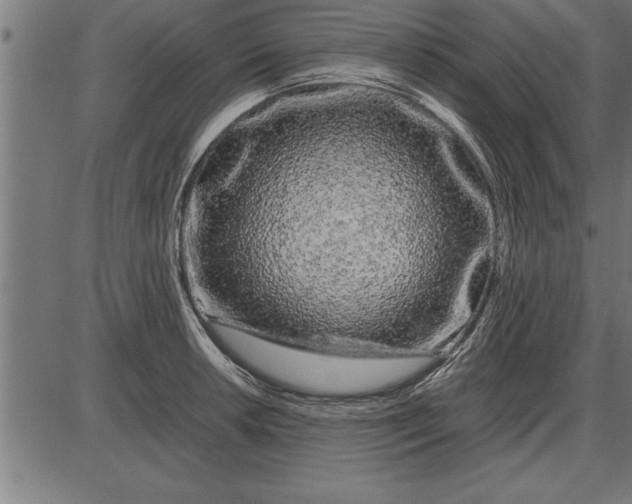 X0000086091042200704091321