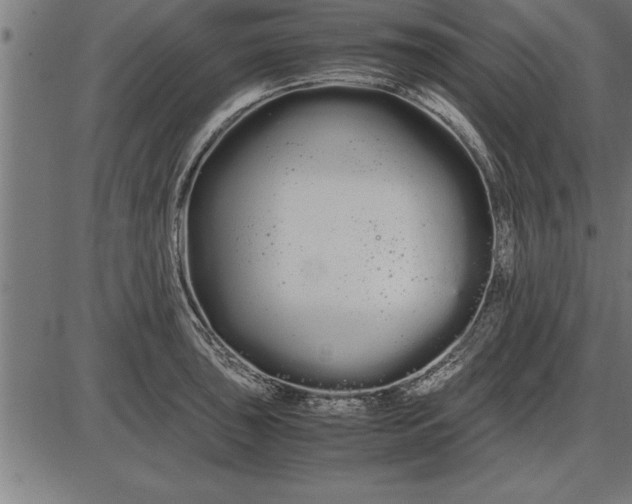 X0000086091043200704091321