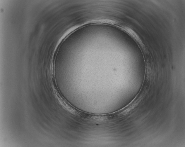 X0000086091044200704091321