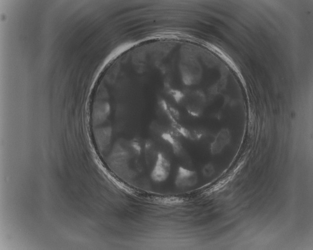 X0000086091045200704091321