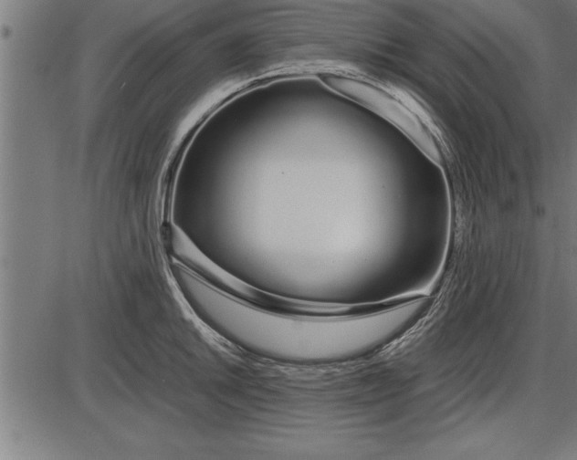 X0000086091046200704091322