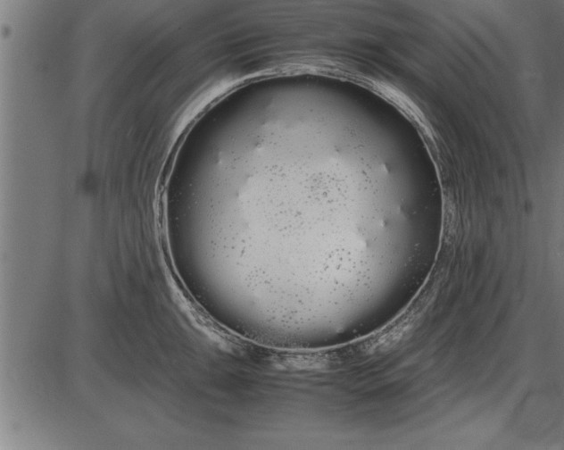 X0000086091047200704091322