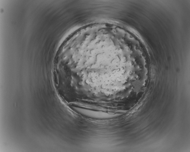 X0000086091048200704091322