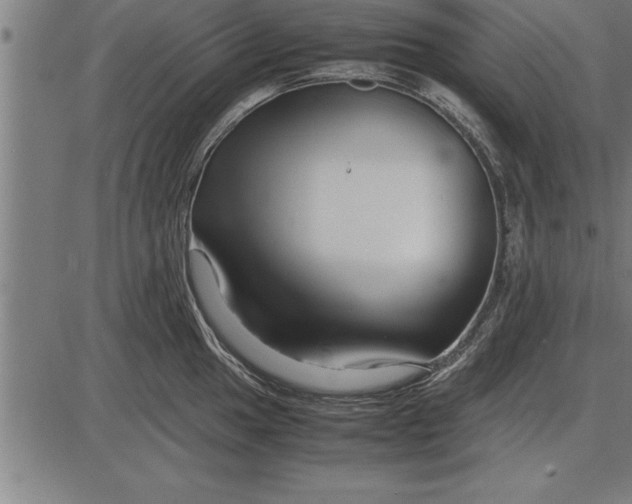 X0000086091049200704091322