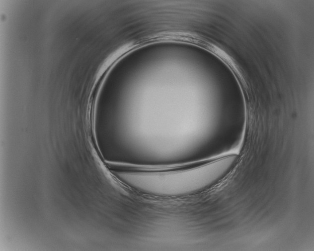 X0000086091050200704091322