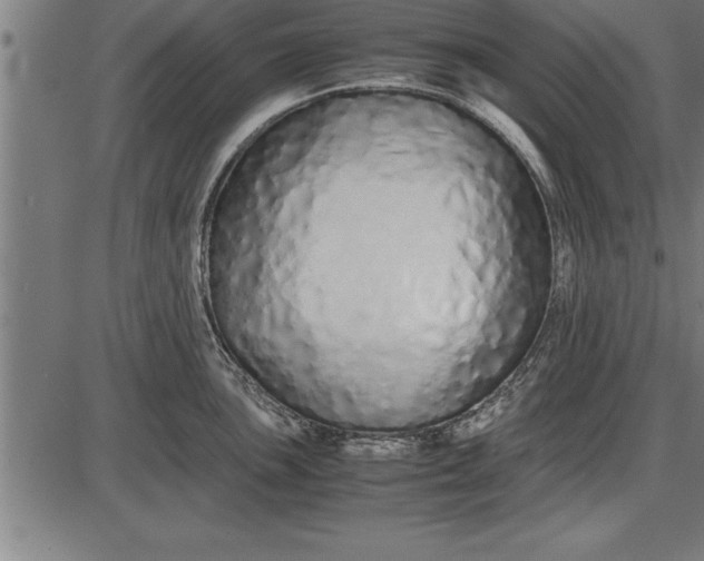 X0000086091051200704091322