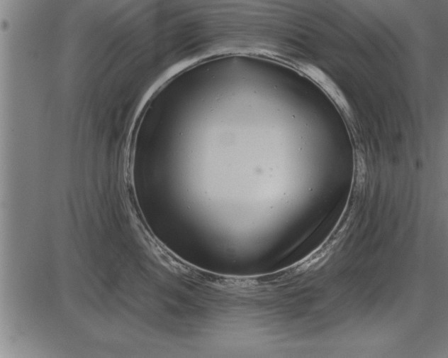 X0000086091052200704091322