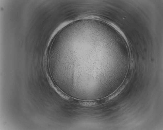 X0000086091053200704091322