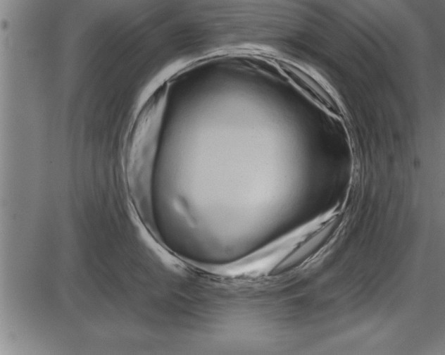 X0000086091054200704091322