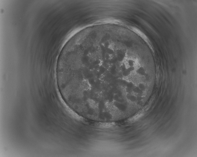 X0000086091055200704091322