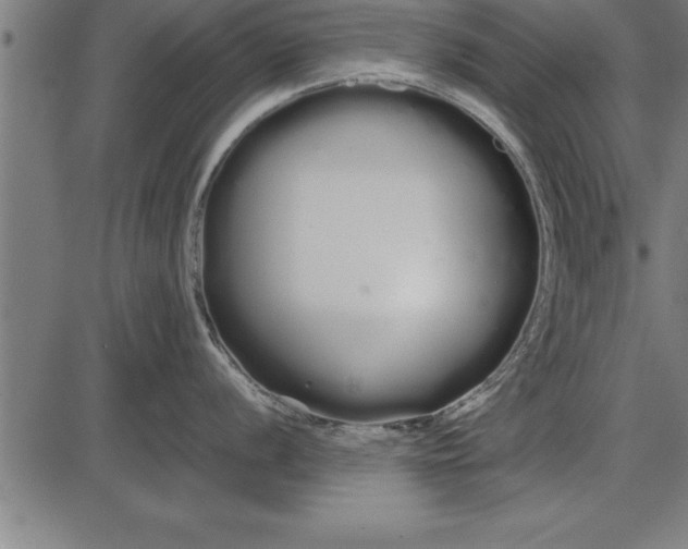 X0000086091056200704091322