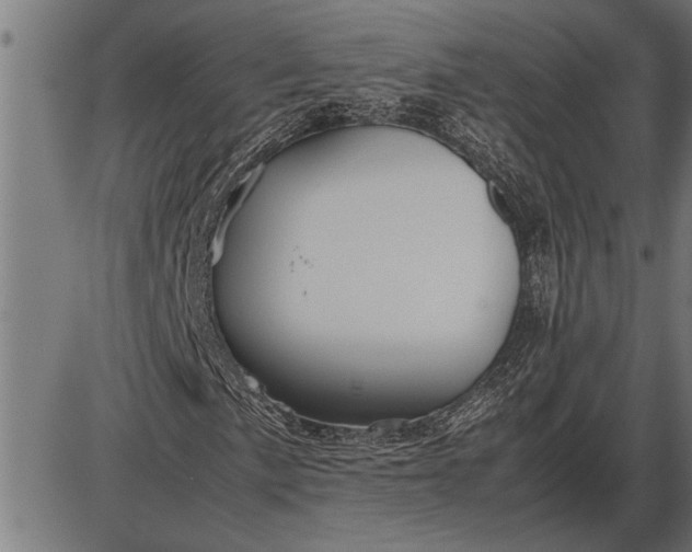 X0000086091057200704091321