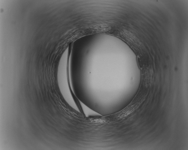 X0000086091058200704091321