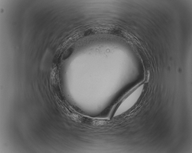 X0000086091059200704091321