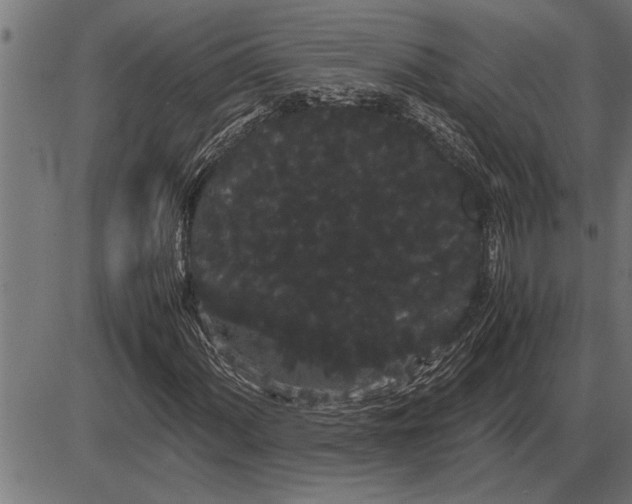 X0000086091060200704091321